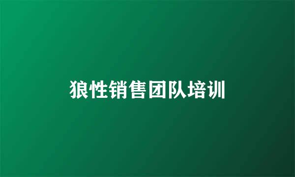 狼性销售团队培训