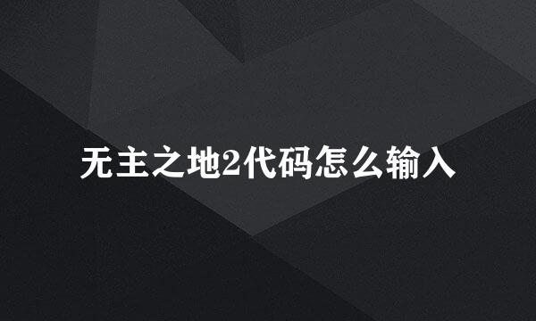 无主之地2代码怎么输入