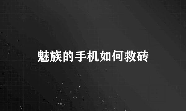 魅族的手机如何救砖