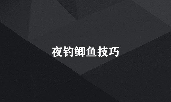 夜钓鲫鱼技巧