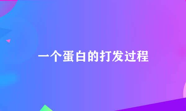 一个蛋白的打发过程