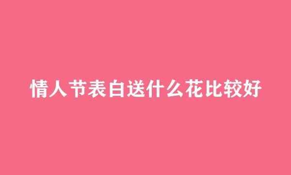 情人节表白送什么花比较好