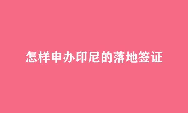 怎样申办印尼的落地签证