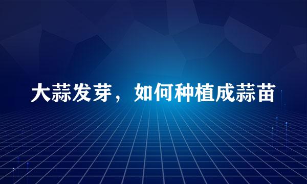 大蒜发芽，如何种植成蒜苗