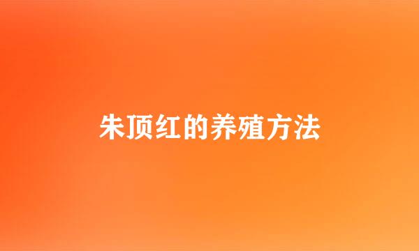 朱顶红的养殖方法
