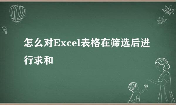 怎么对Excel表格在筛选后进行求和