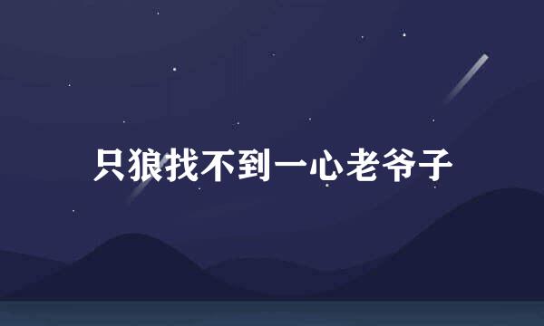 只狼找不到一心老爷子