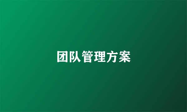 团队管理方案