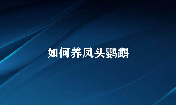 如何养凤头鹦鹉