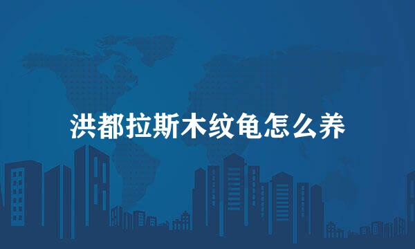 洪都拉斯木纹龟怎么养