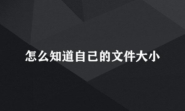 怎么知道自己的文件大小