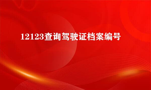 12123查询驾驶证档案编号