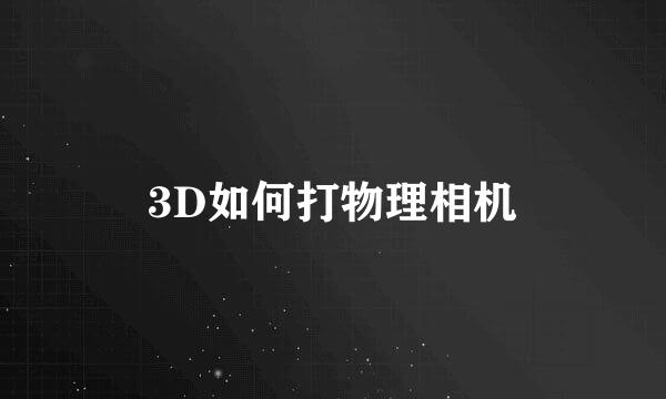3D如何打物理相机