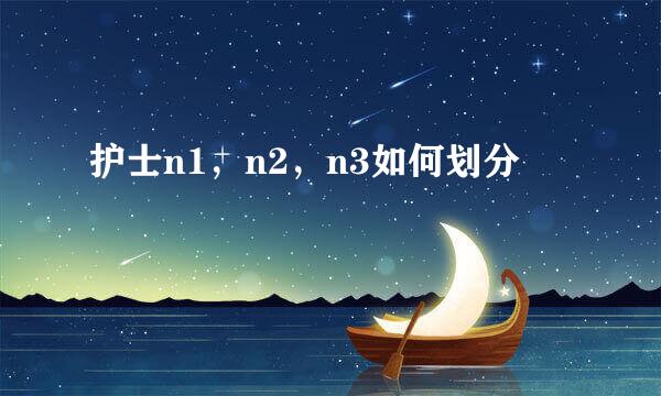 护士n1，n2，n3如何划分
