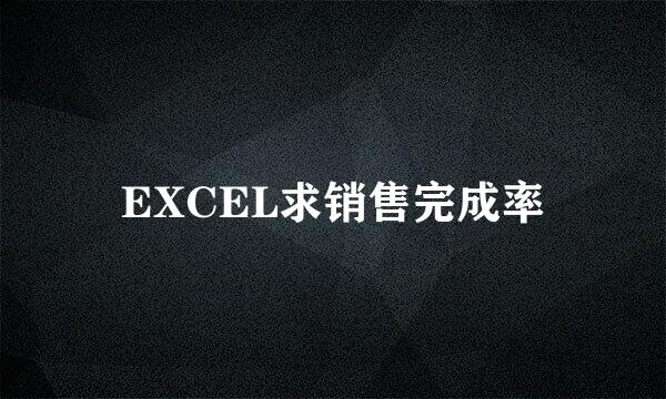 EXCEL求销售完成率
