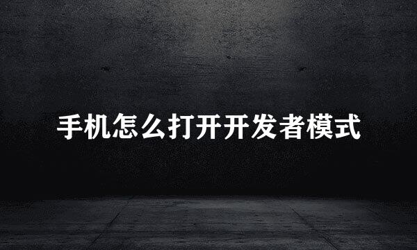 手机怎么打开开发者模式