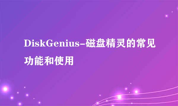 DiskGenius-磁盘精灵的常见功能和使用