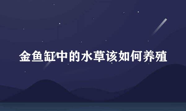 金鱼缸中的水草该如何养殖