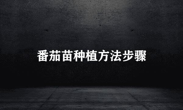 番茄苗种植方法步骤