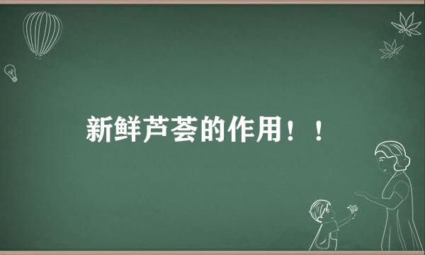 新鲜芦荟的作用！！