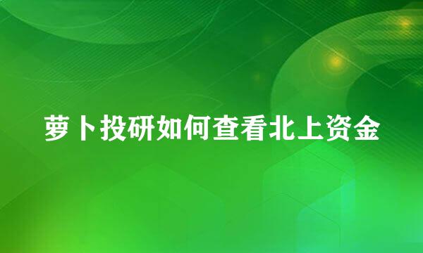 萝卜投研如何查看北上资金