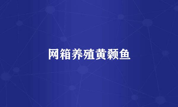 网箱养殖黄颡鱼