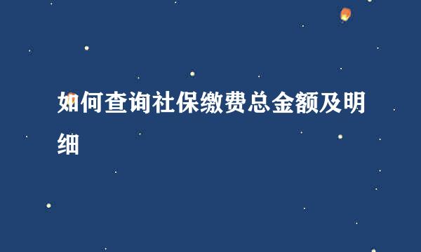 如何查询社保缴费总金额及明细