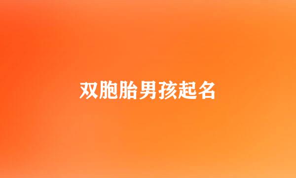 双胞胎男孩起名