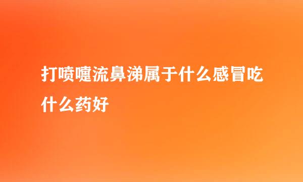 打喷嚏流鼻涕属于什么感冒吃什么药好