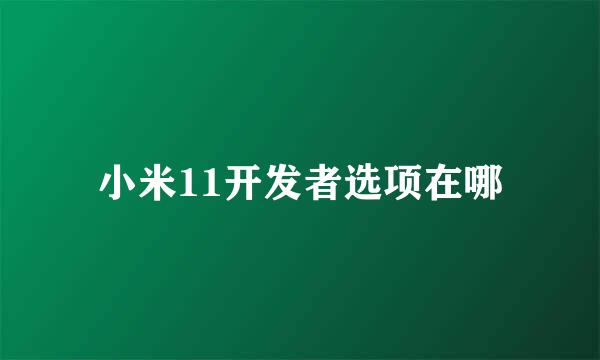 小米11开发者选项在哪