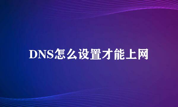DNS怎么设置才能上网
