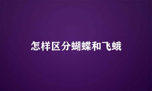 怎样区分蝴蝶和飞蛾