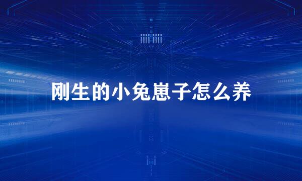 刚生的小兔崽子怎么养