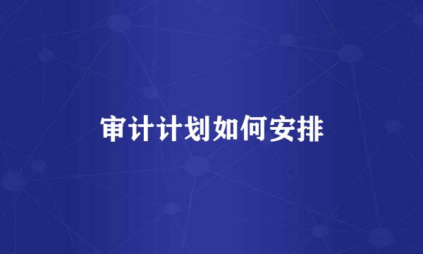 审计计划如何安排