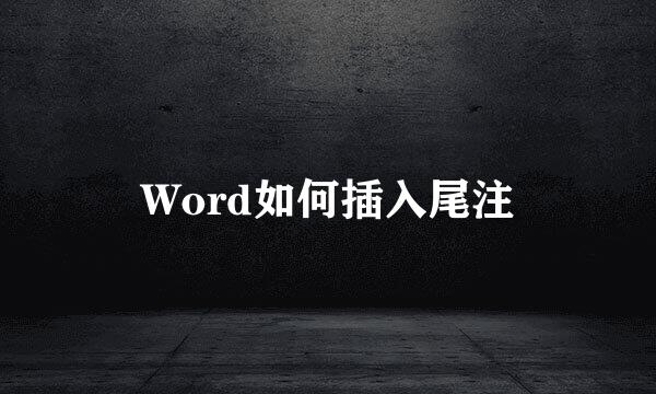 Word如何插入尾注