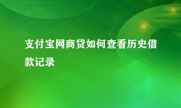 支付宝网商贷如何查看历史借款记录