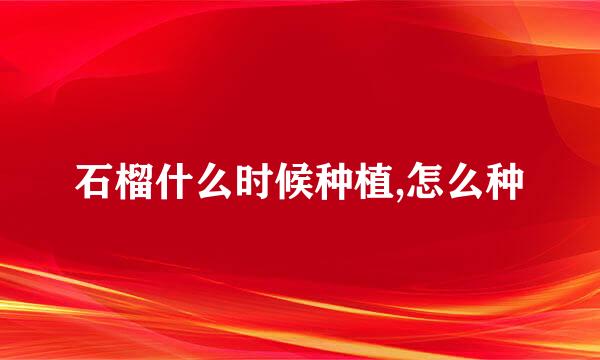 石榴什么时候种植,怎么种