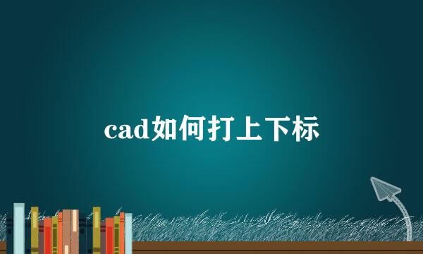 cad如何打上下标