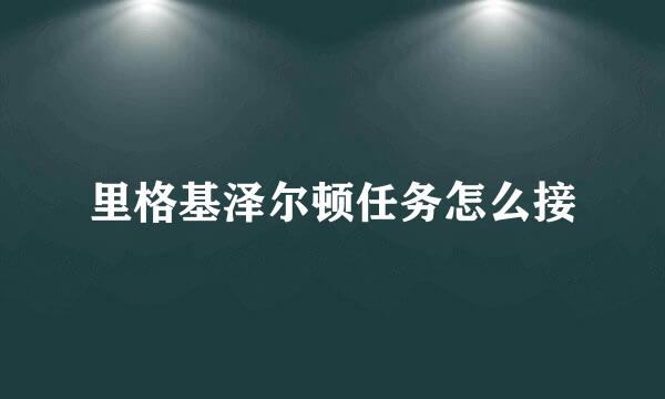 里格基泽尔顿任务怎么接
