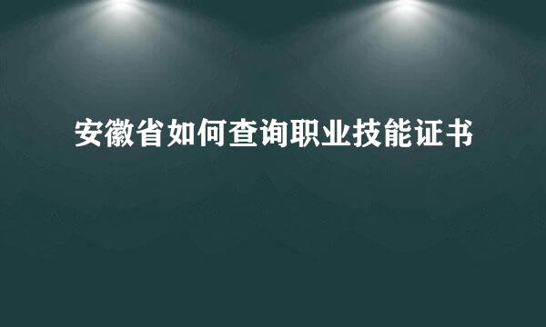 安徽省如何查询职业技能证书