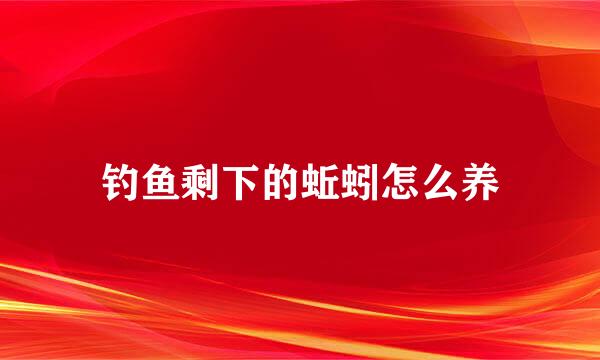 钓鱼剩下的蚯蚓怎么养