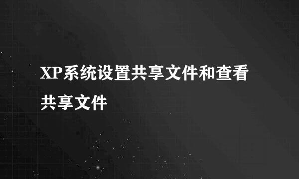 XP系统设置共享文件和查看共享文件