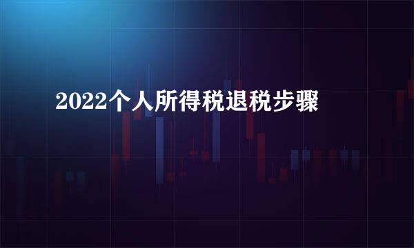 2022个人所得税退税步骤