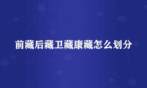 前藏后藏卫藏康藏怎么划分
