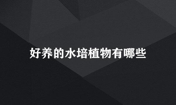 好养的水培植物有哪些