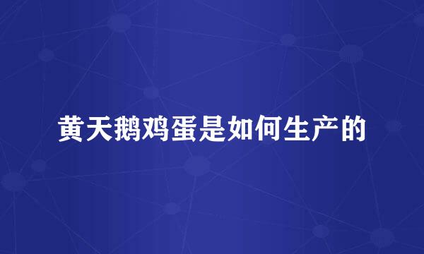 黄天鹅鸡蛋是如何生产的