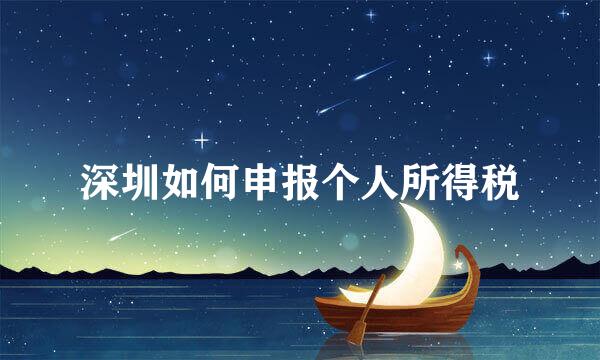 深圳如何申报个人所得税