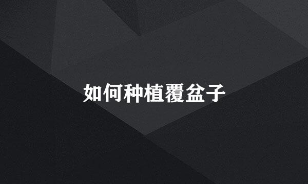 如何种植覆盆子