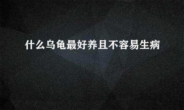 什么乌龟最好养且不容易生病