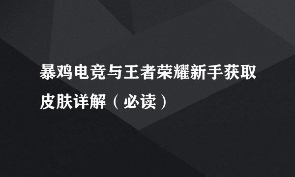 暴鸡电竞与王者荣耀新手获取皮肤详解（必读）